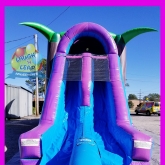Girls Theme Bounce House Slide