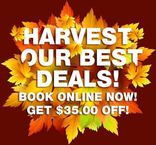 Full Service Party & Event Rentals