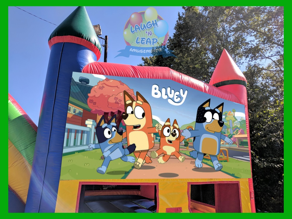 Bluey Cartoon House Birthday Party